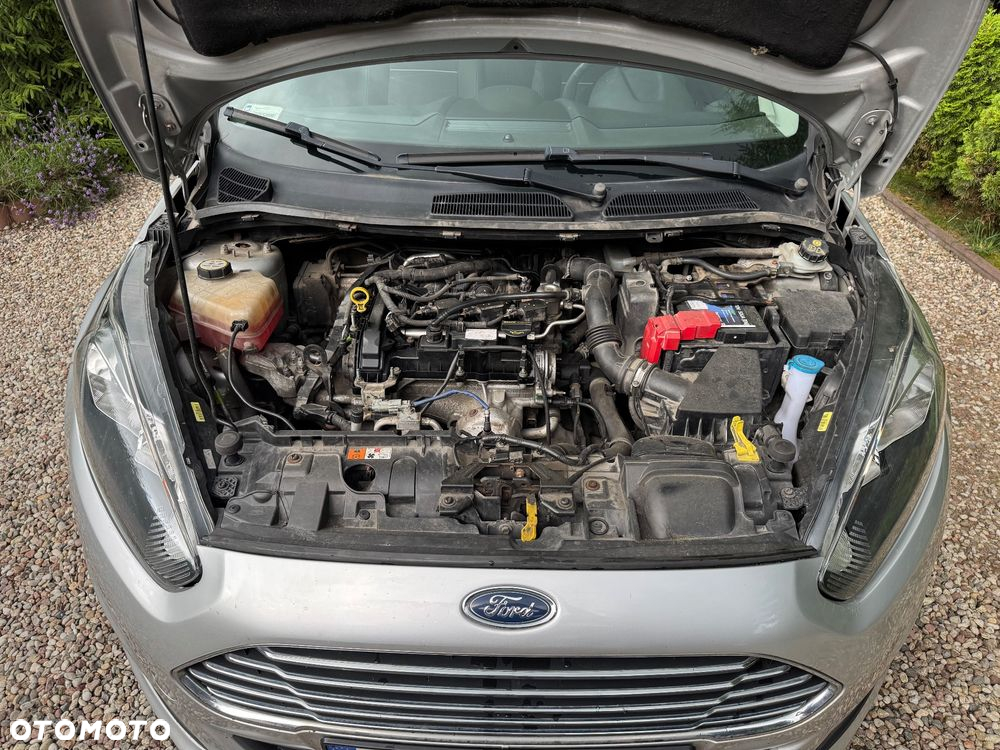 Ford Fiesta - 14