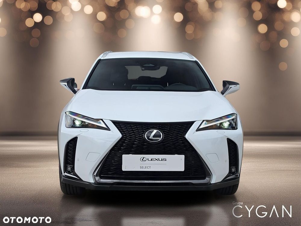 Lexus UX 300h F Sport Design - 10