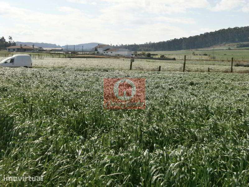 Terreno Agrícola c/ 2805m2 em Rates, Povoa de Varzim - Grande imagem: 2/2