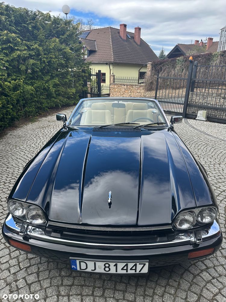 Jaguar XJS - 13