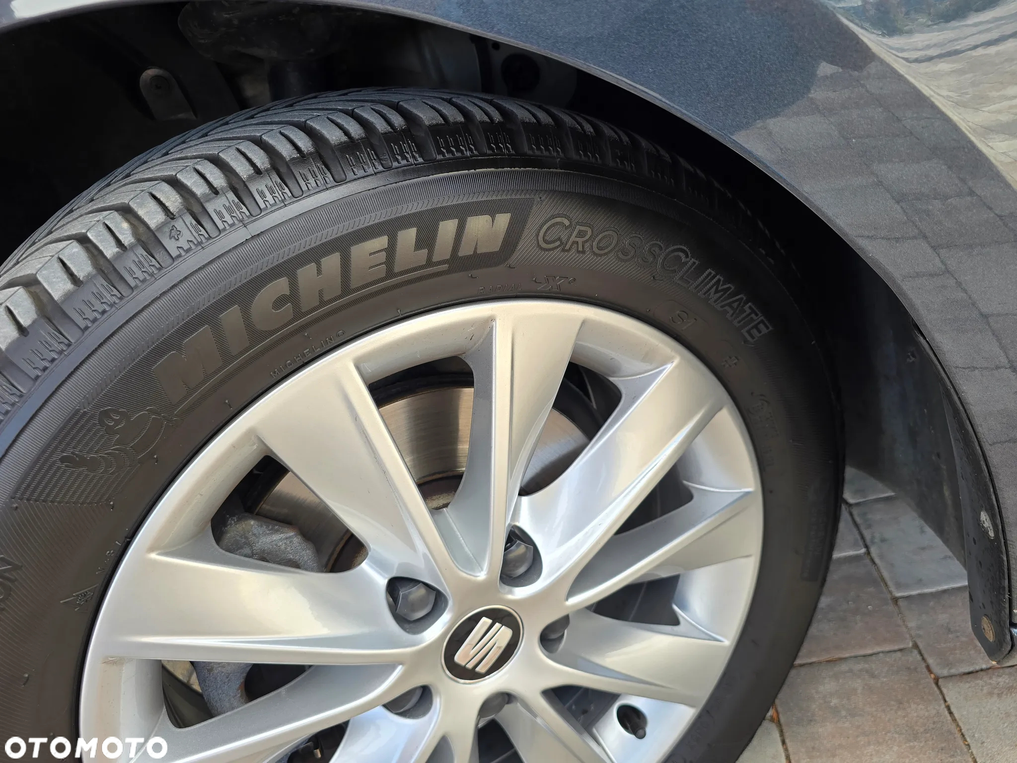 Seat Leon 1.5 EcoTSI Evo Full LED S&S - 15