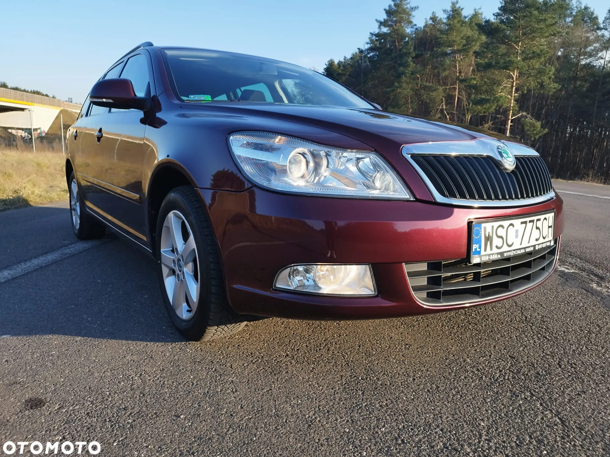 Skoda Octavia - 8