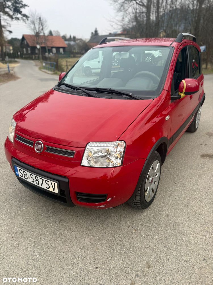 Fiat Panda 1.2 4x4 - 1
