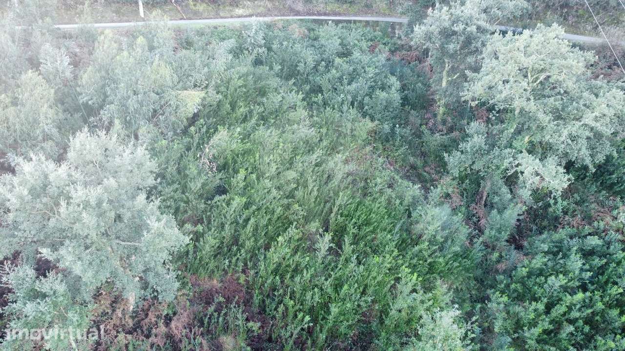 Terreno  para venda - Grande imagem: 3/10