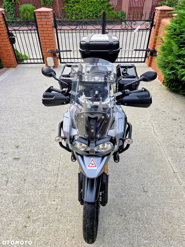 Triumph Tiger - 15