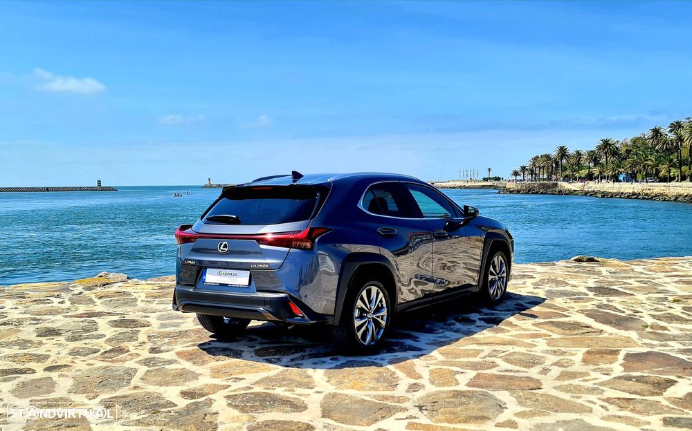 Lexus UX 250h Sport - 6