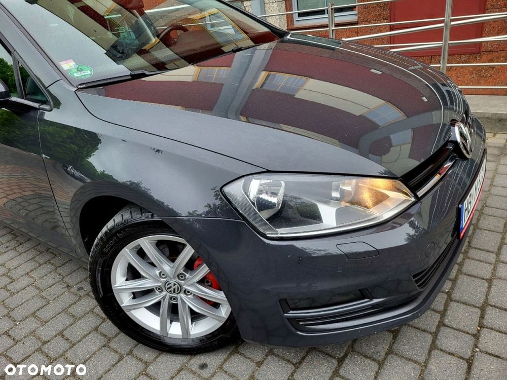 Volkswagen Golf - 24