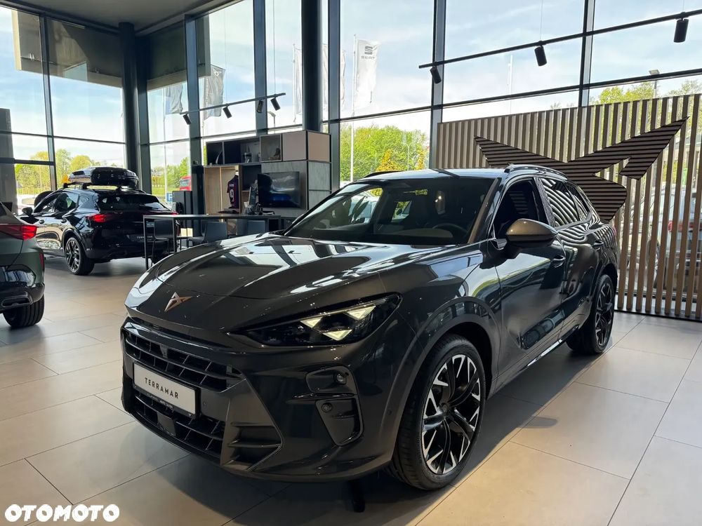 Cupra Terramar - 2