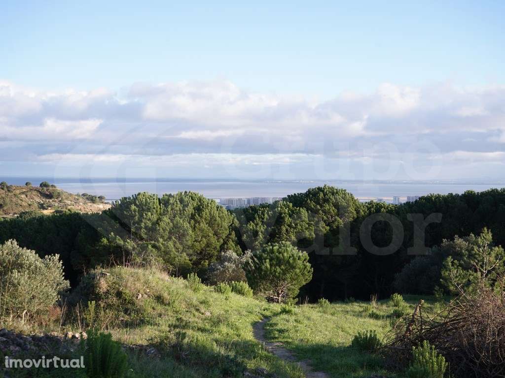 Terreno Rústico com Vista Paisagística | Santa Eulália | Vialonga - Grande imagem: 2/5