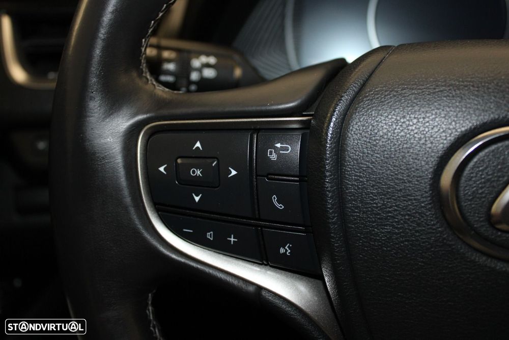 Lexus UX 250h Premium - 12