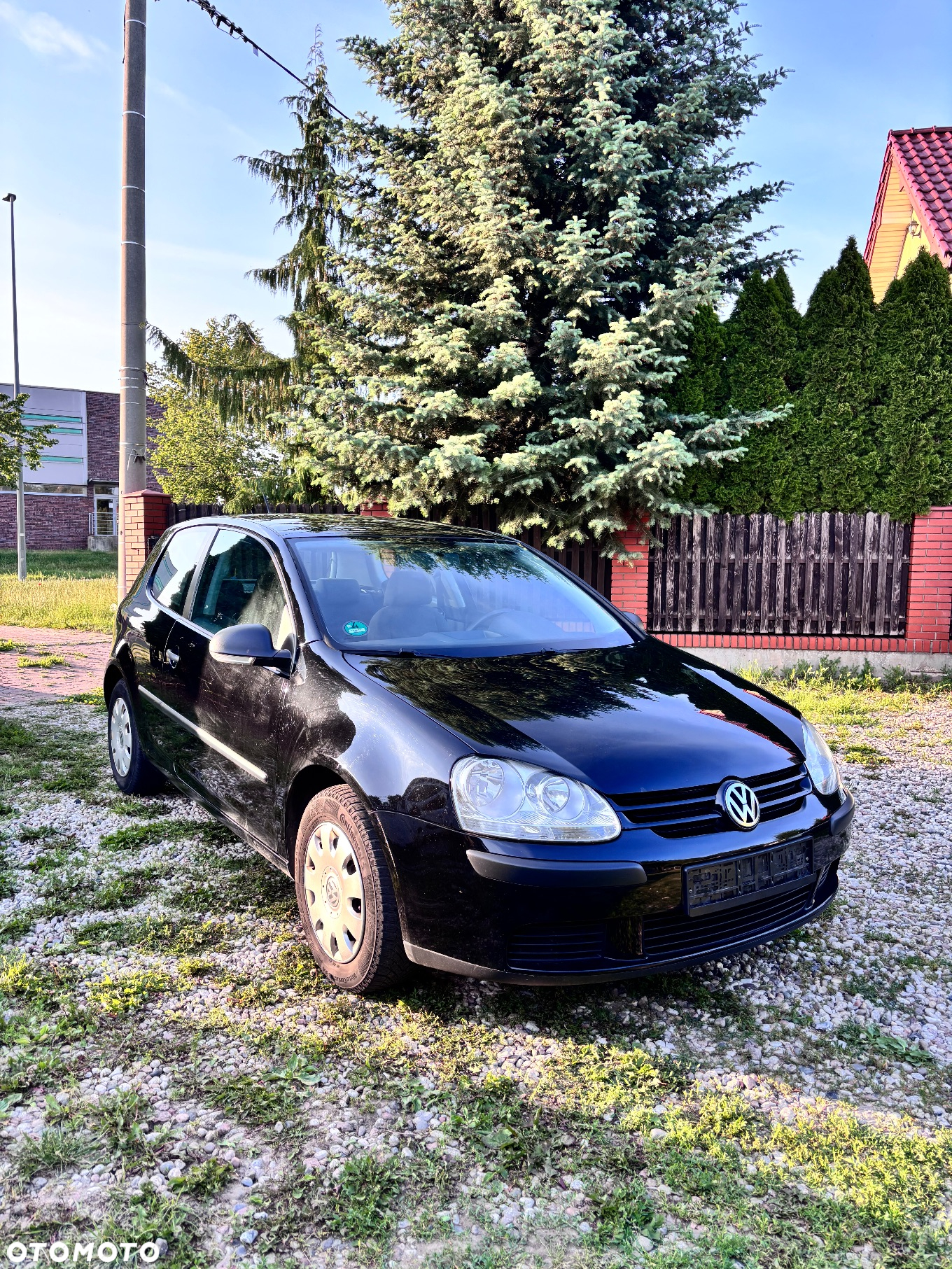 Volkswagen Golf - 2