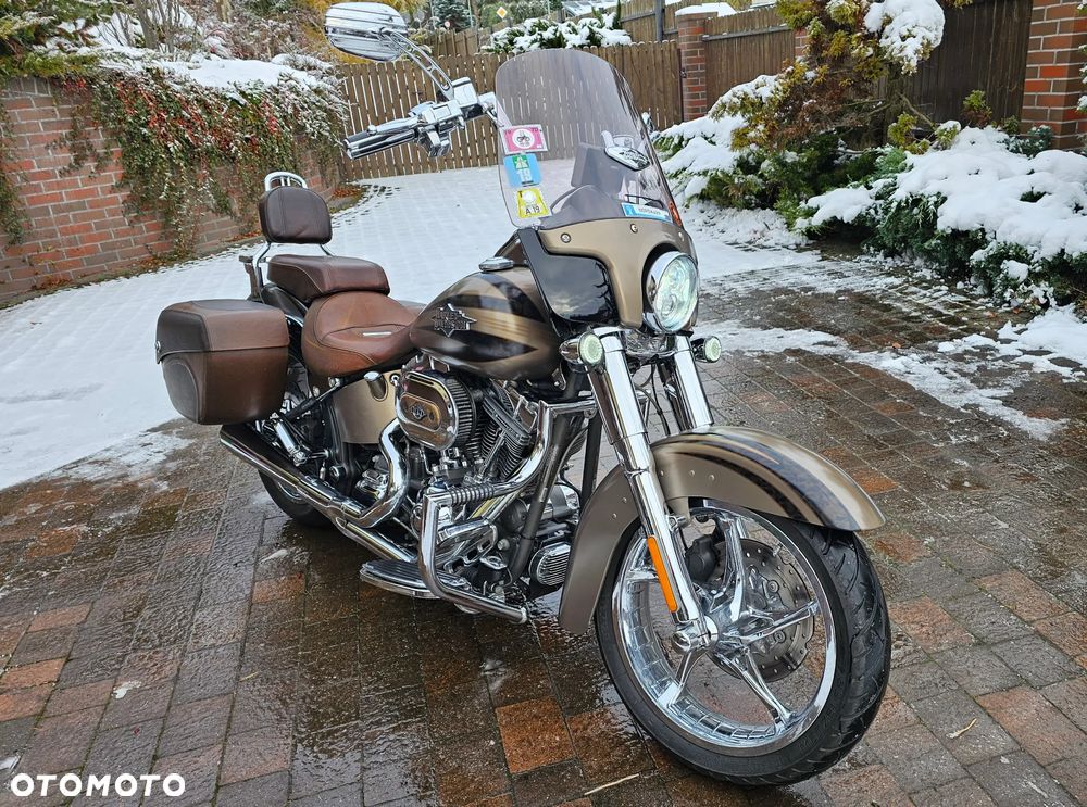 Harley-Davidson Softail - 6