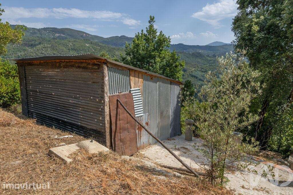 Terreno Agrícola em Sandomil - Grande imagem: 2/13