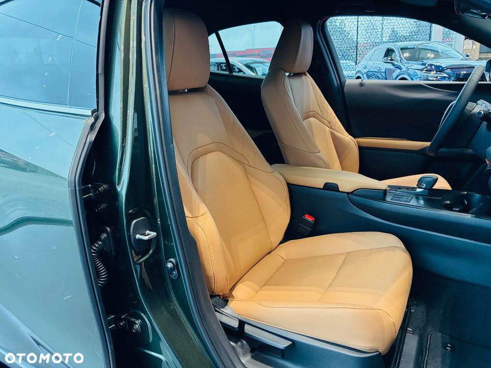 Lexus UX 300h F Sport Design - 12