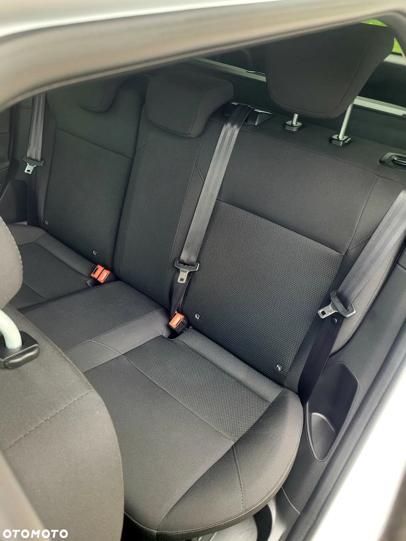 Ford Focus - 24