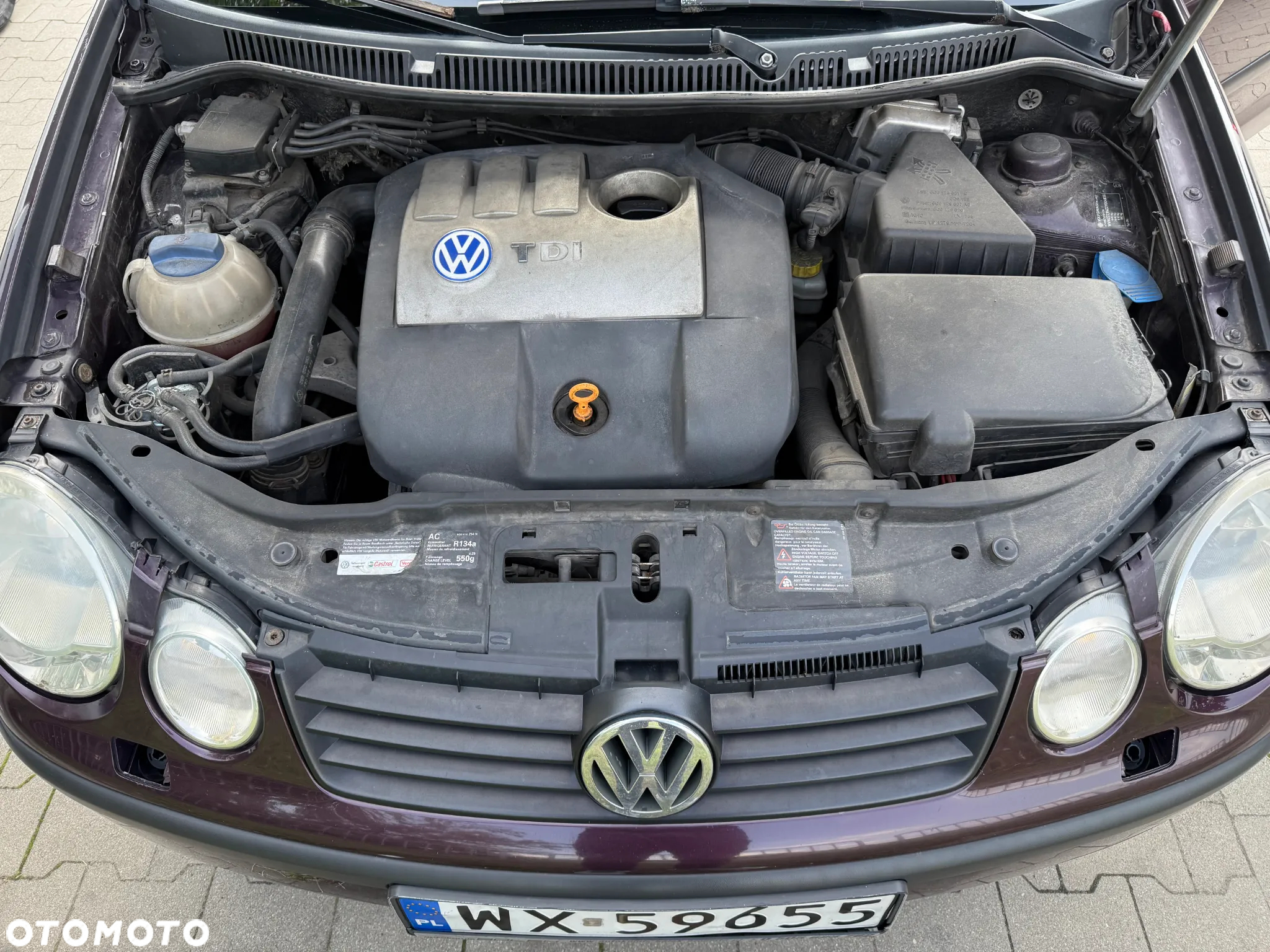 Volkswagen Polo 1.4 TDI Basis - 16
