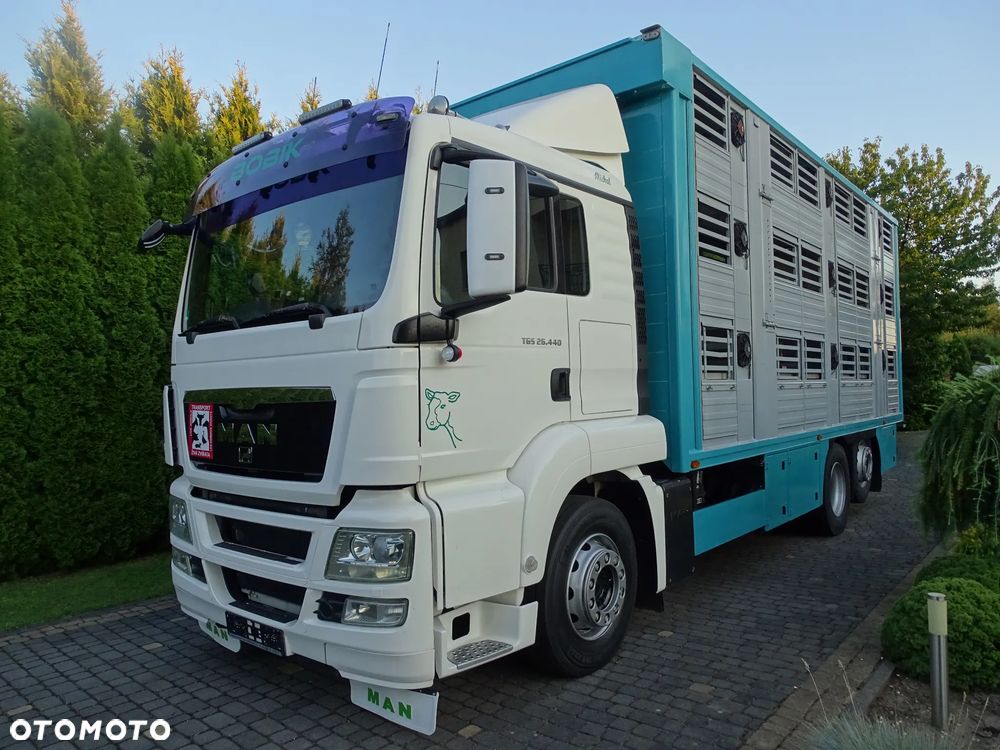 MAN TGX 26.440 DO ŻYWCA / ZWIERZĄT / BYDŁA / TRZODY / SPROWADZONY / 3 POZIOMY / - 1