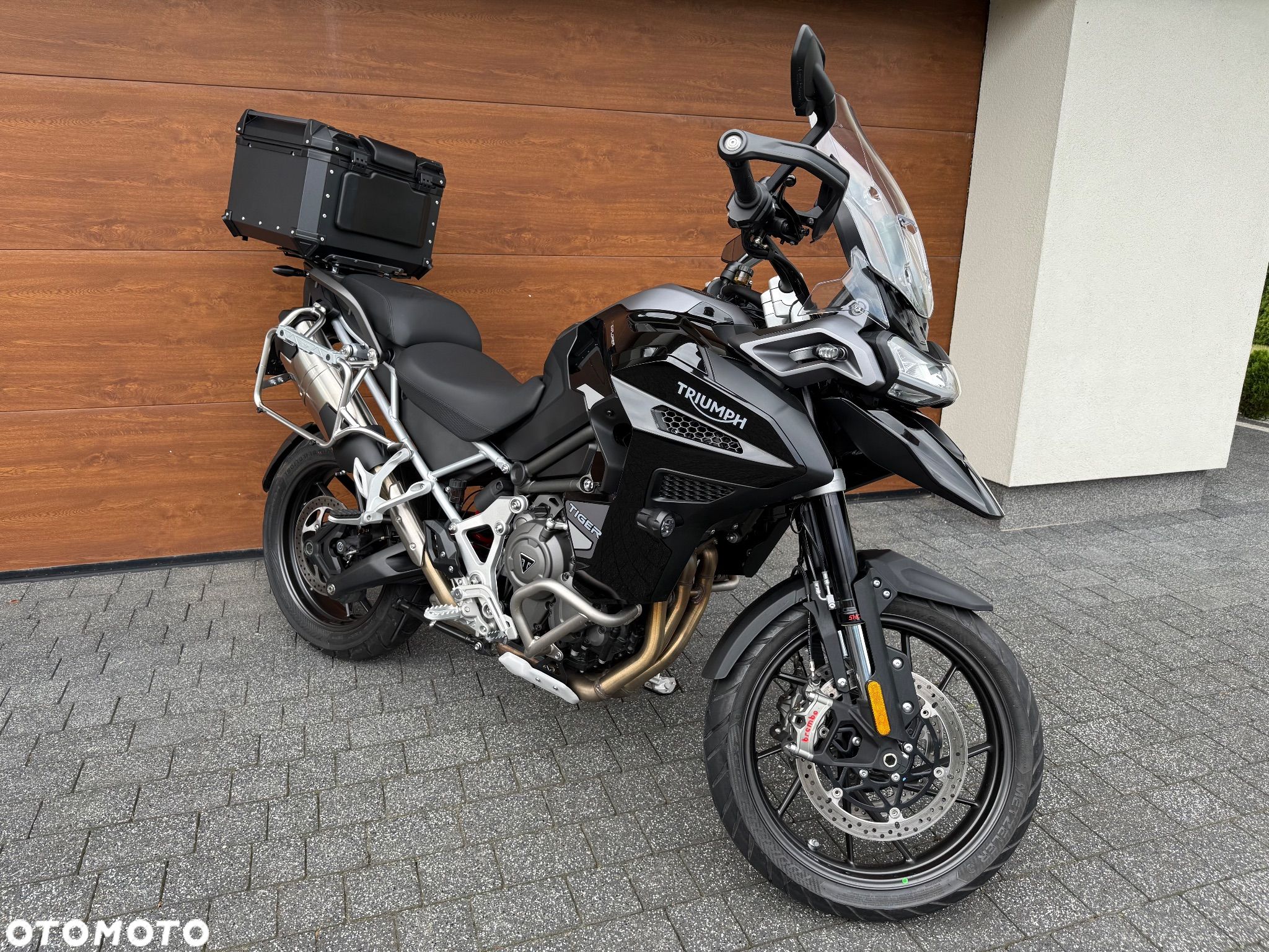 Triumph Tiger - 1