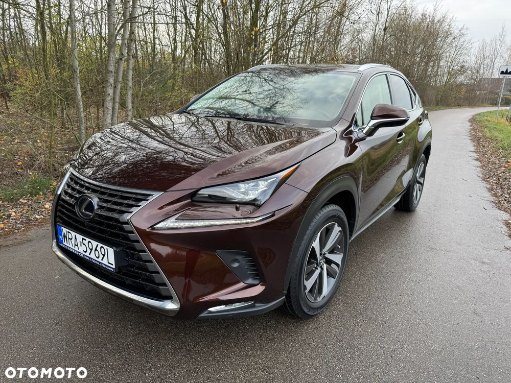 Lexus NX 300h F Impression AWD - 1