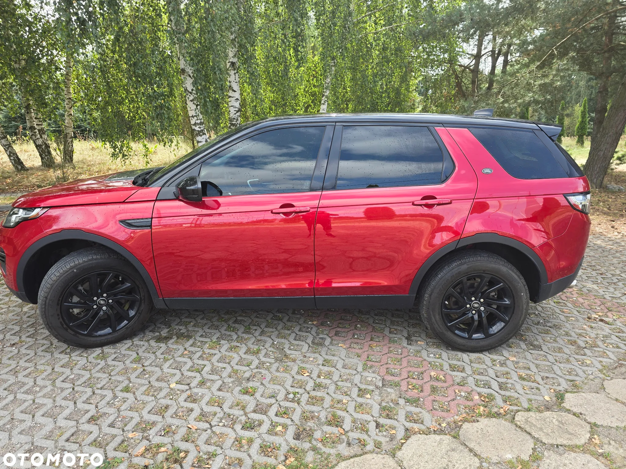 Land Rover Discovery Sport 2.0 Si4 SE - 7