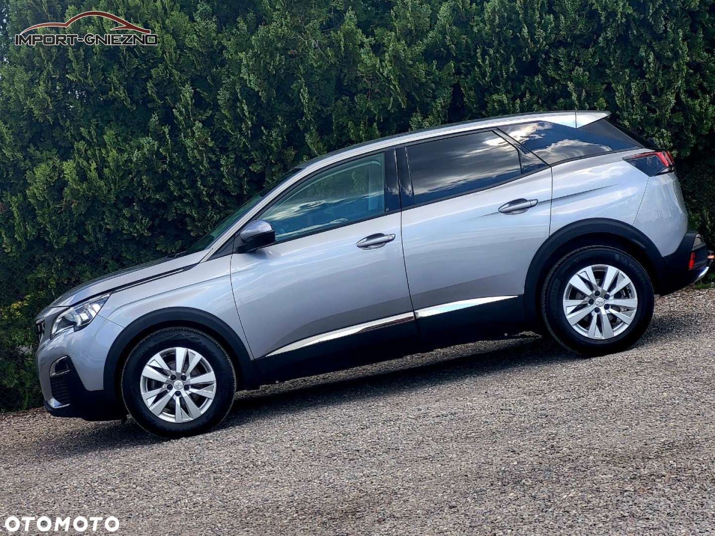 Peugeot 3008 - 18