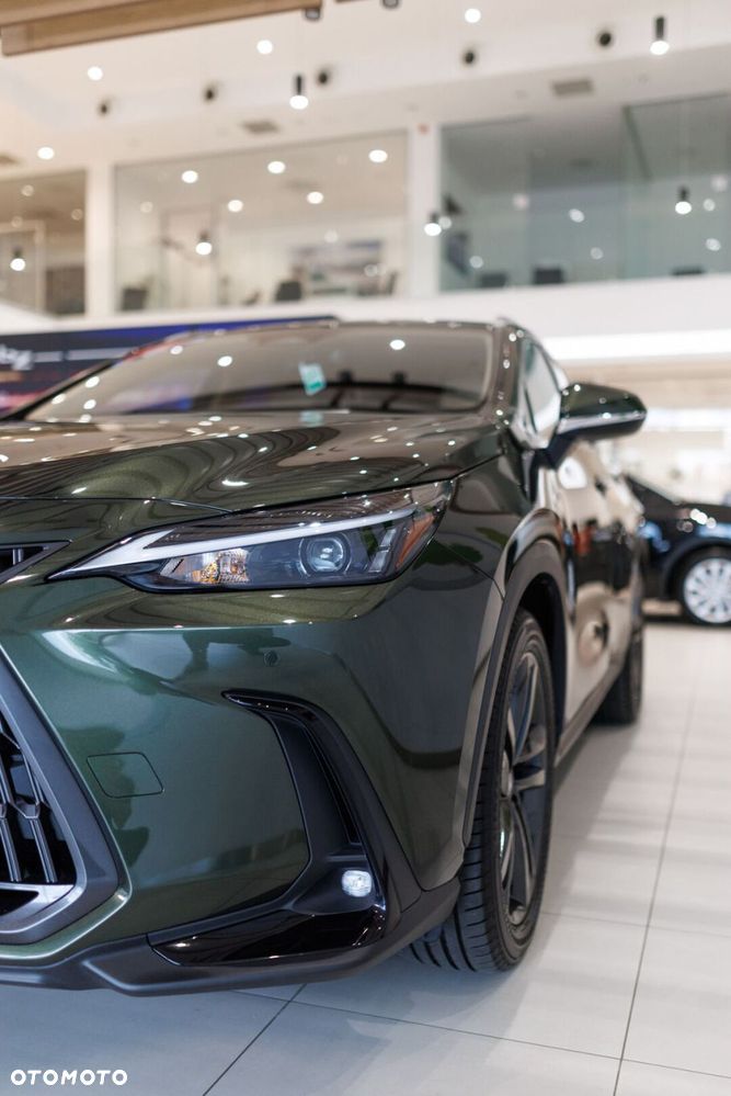 Lexus NX - 13