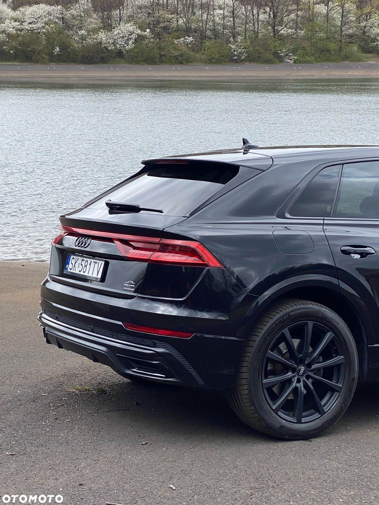 Audi Q8 - 7
