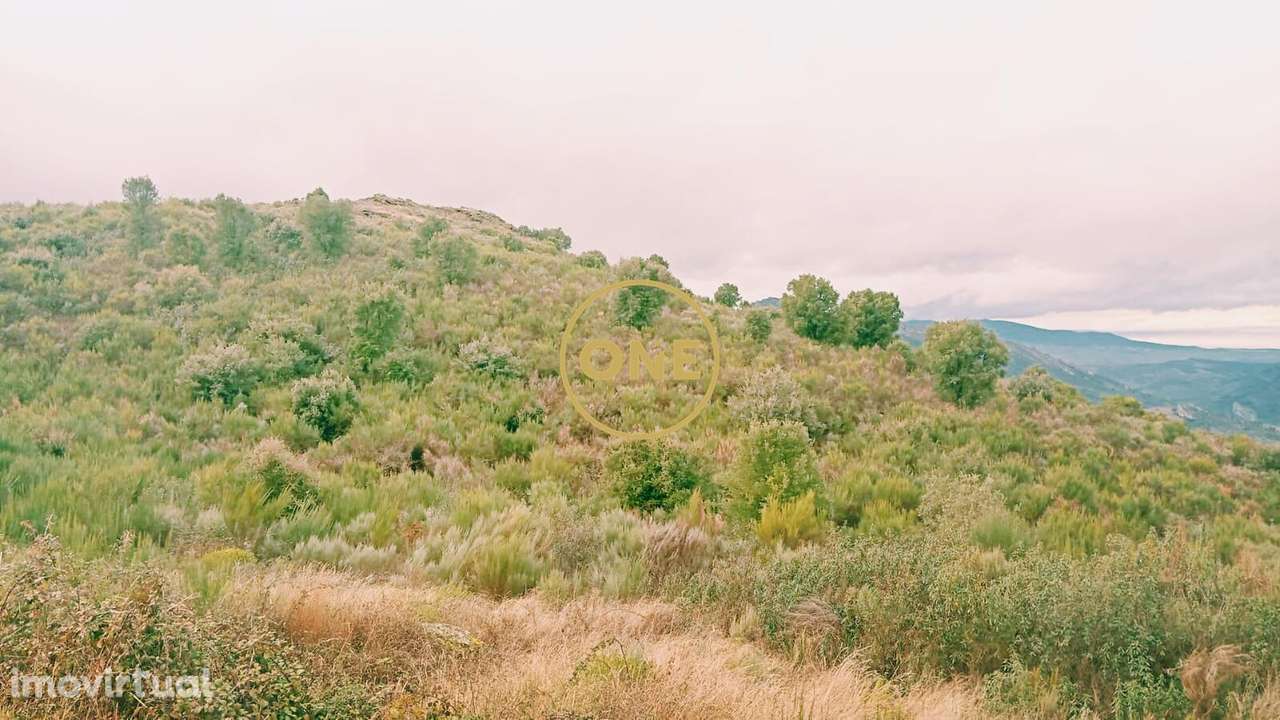 Terreno Rústico - Grande imagem: 2/7