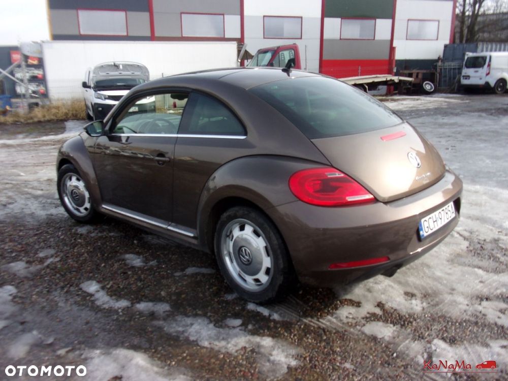 Volkswagen Beetle - 8