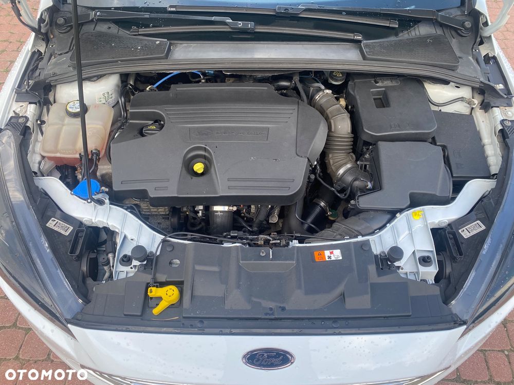 Ford Focus - 14