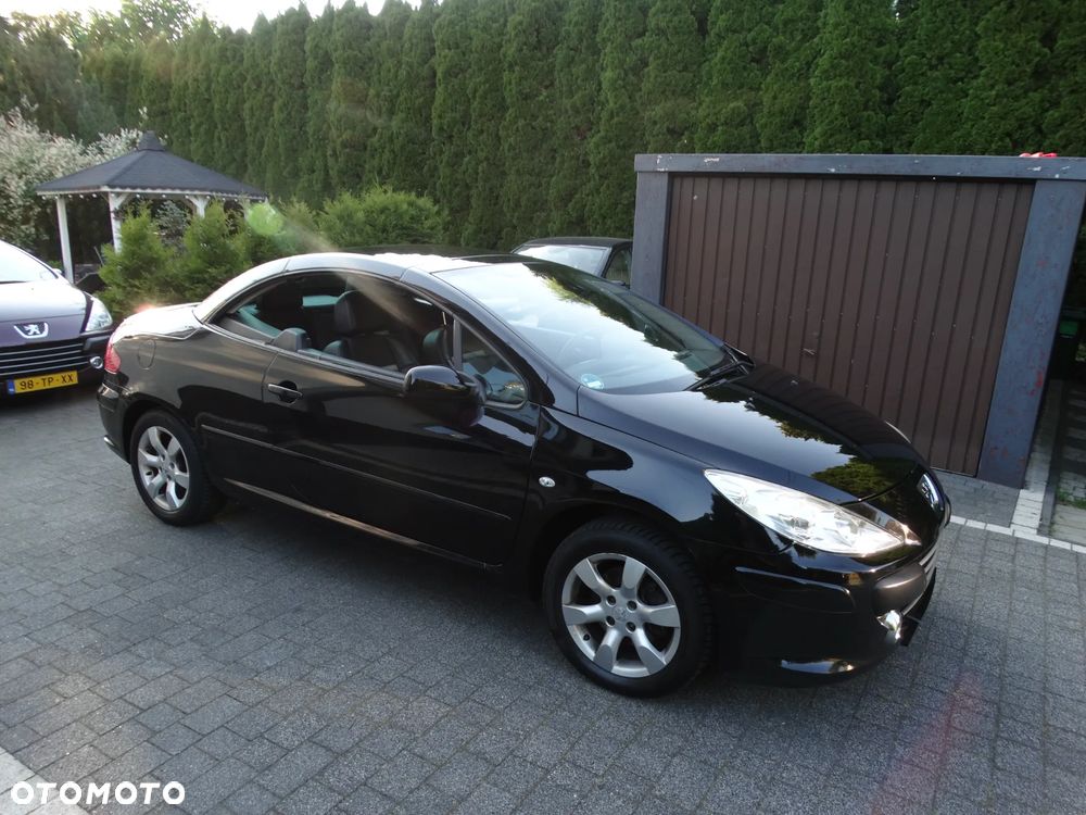 Peugeot 307 - 13