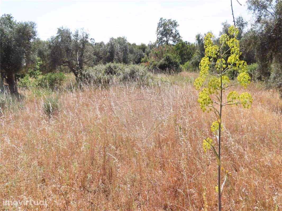 Quinta  para venda - Grande imagem: 4/10