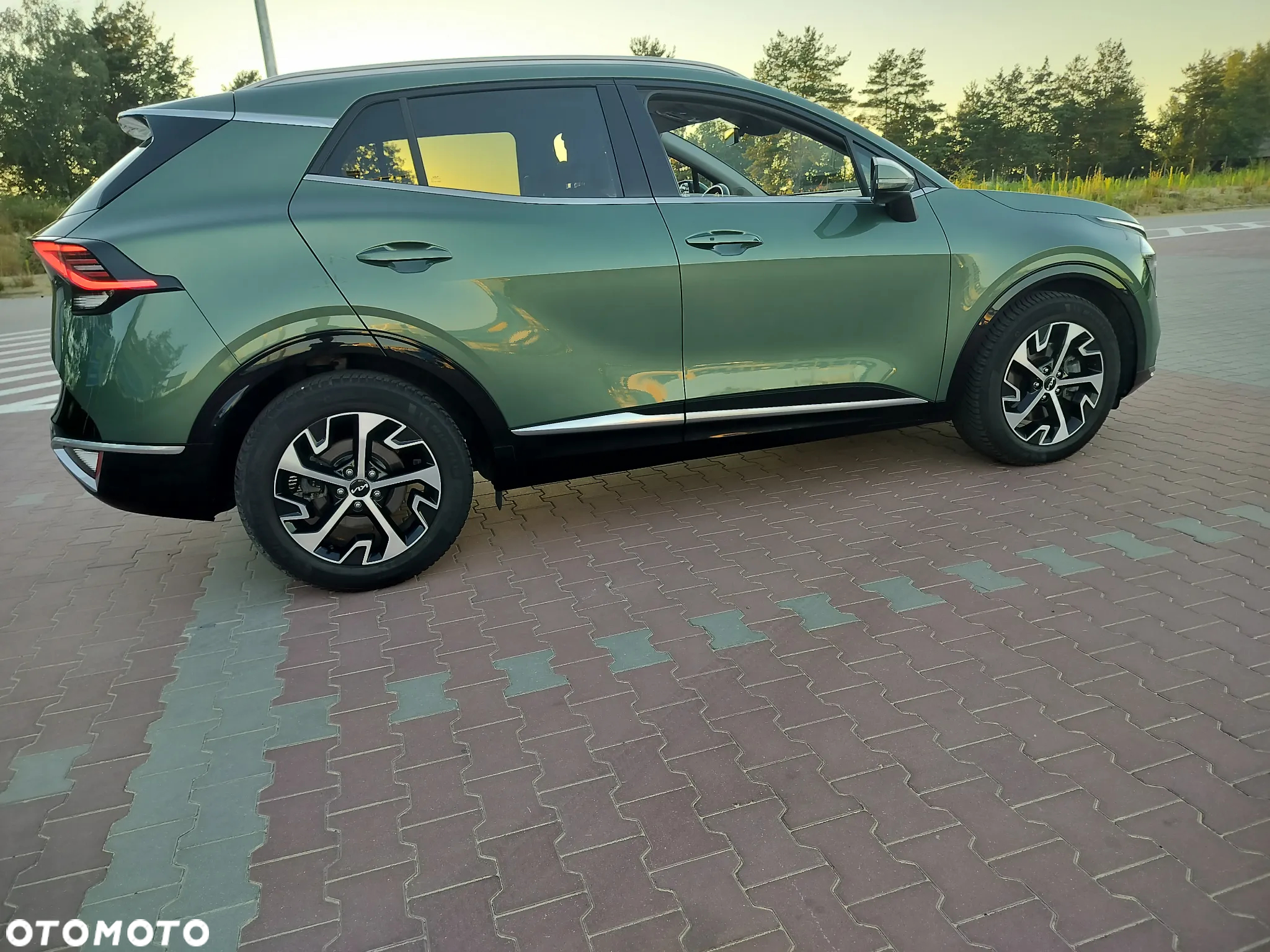 Kia Sportage 1.6 T-GDI HEV Business Line 2WD - 5