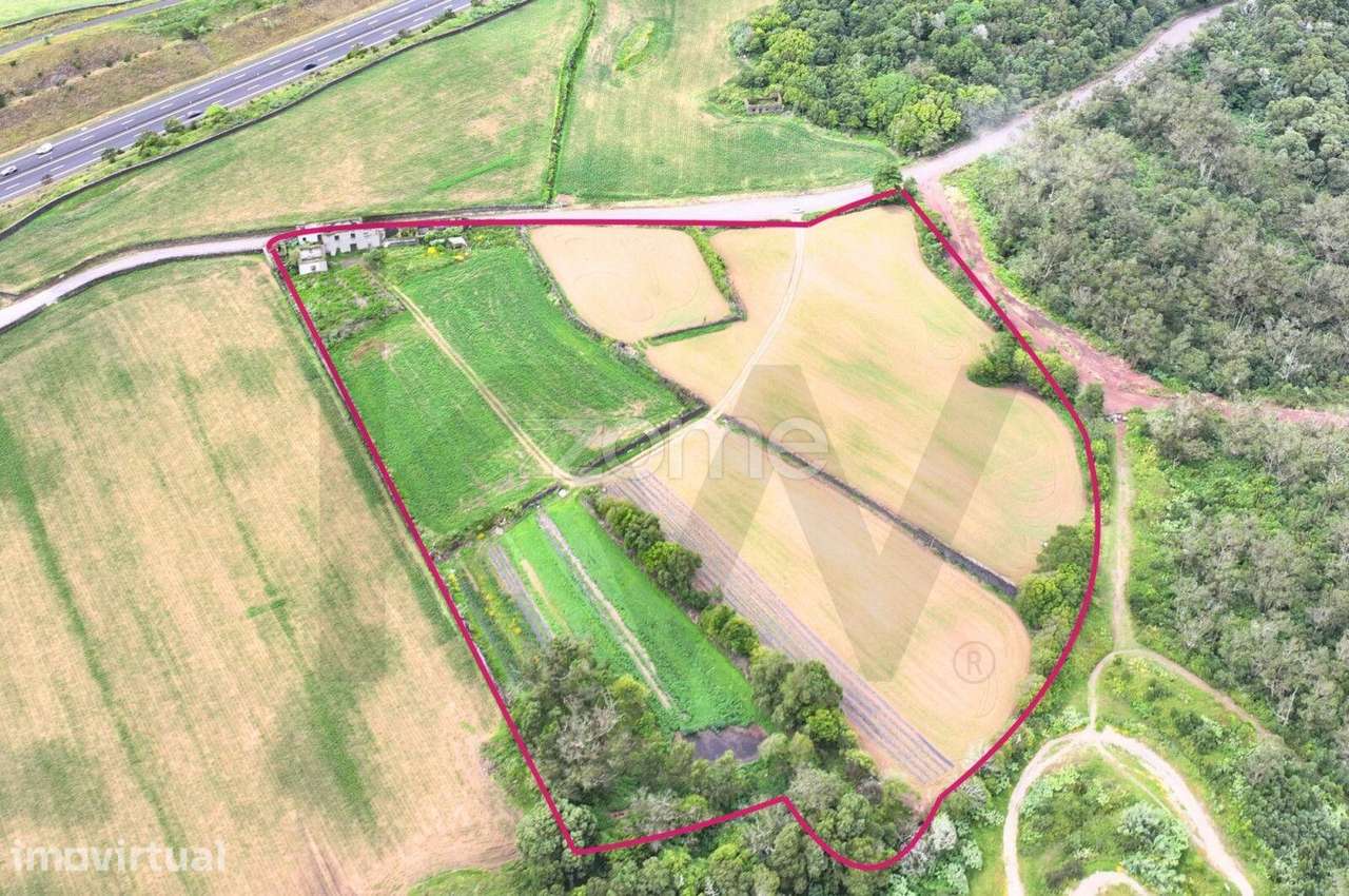 Terreno Rústico com 26.400 m2 – Santa Bárbara, Ribeira Grande | São Mi - Grande imagem: 5/10