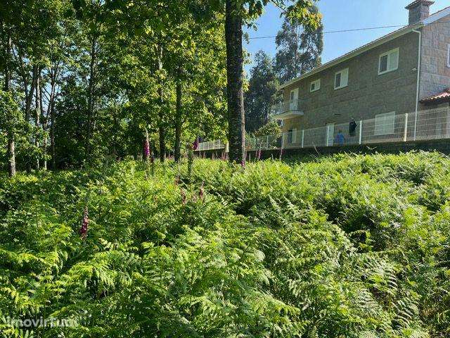 Terreno Rústico à Venda em Perozelo, Penafiel – Perfeito para Moradia - Grande imagem: 4/42