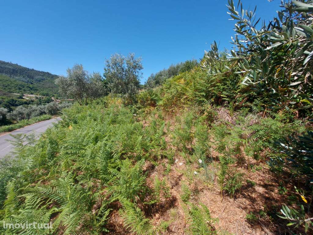 Venda Terreno - Grande imagem: 4/7