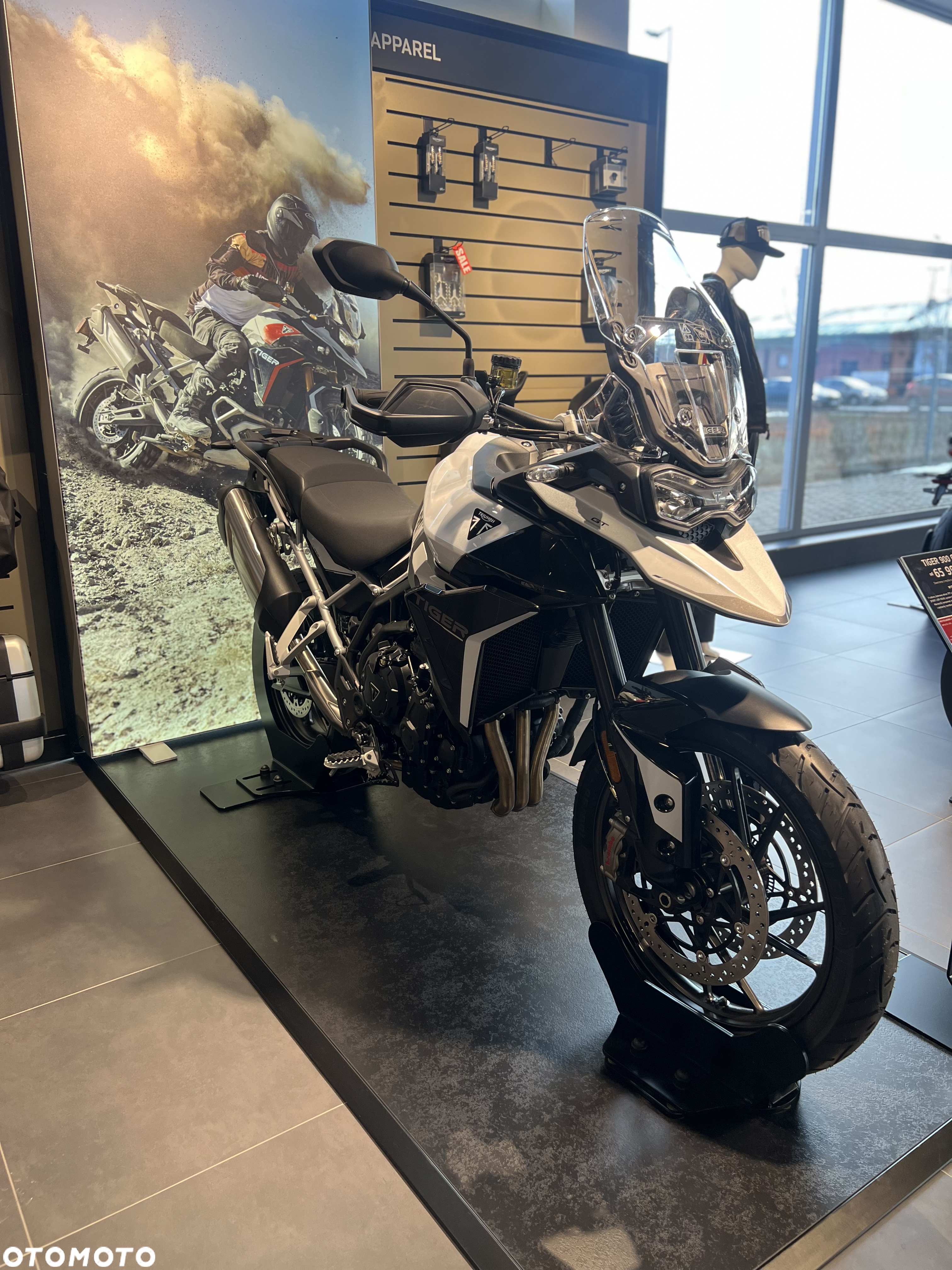 Triumph Tiger - 3