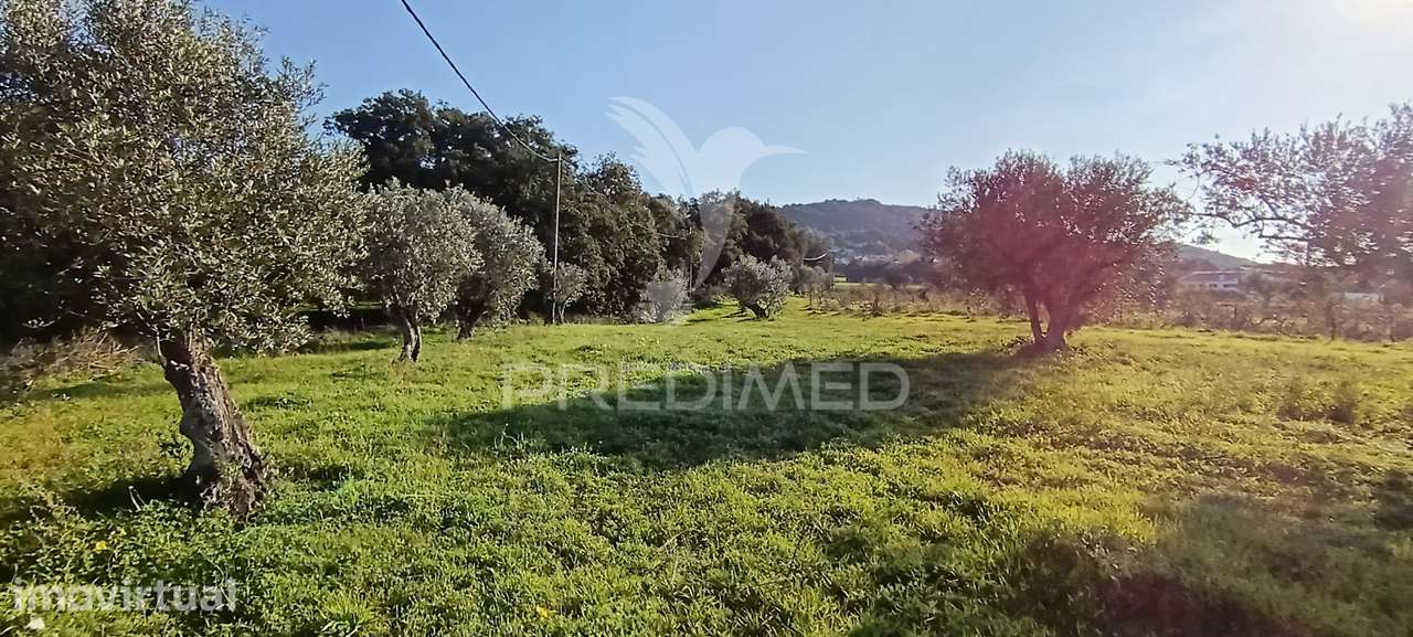 Terreno Rustico de 7.320m2 em Cabanas, Palmela - Grande imagem: 5/39