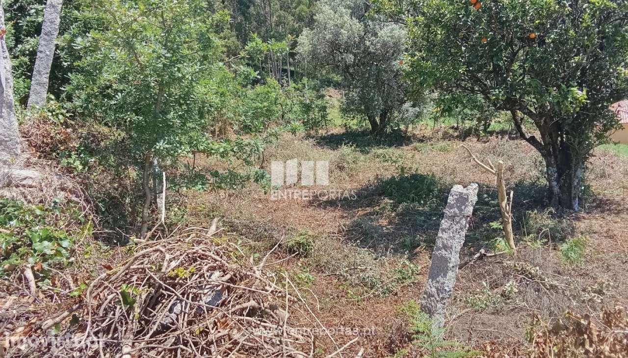 Terreno para venda, Gandra, Valença - Grande imagem: 2/17