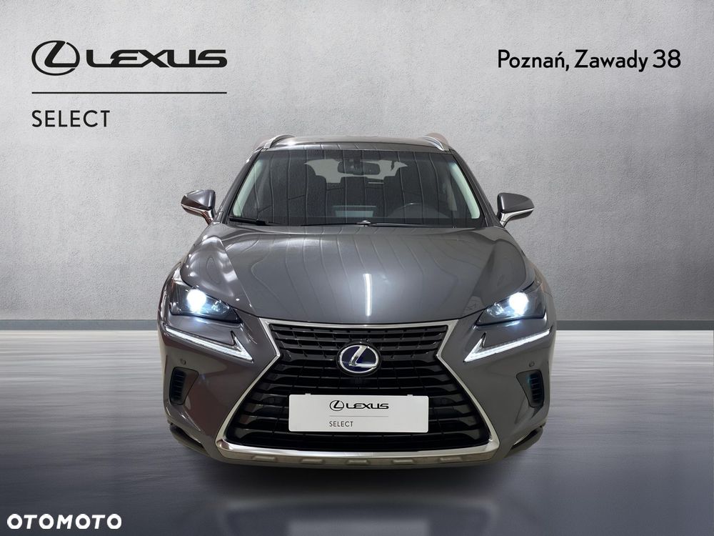 Lexus NX 300h Elegance 2WD - 6