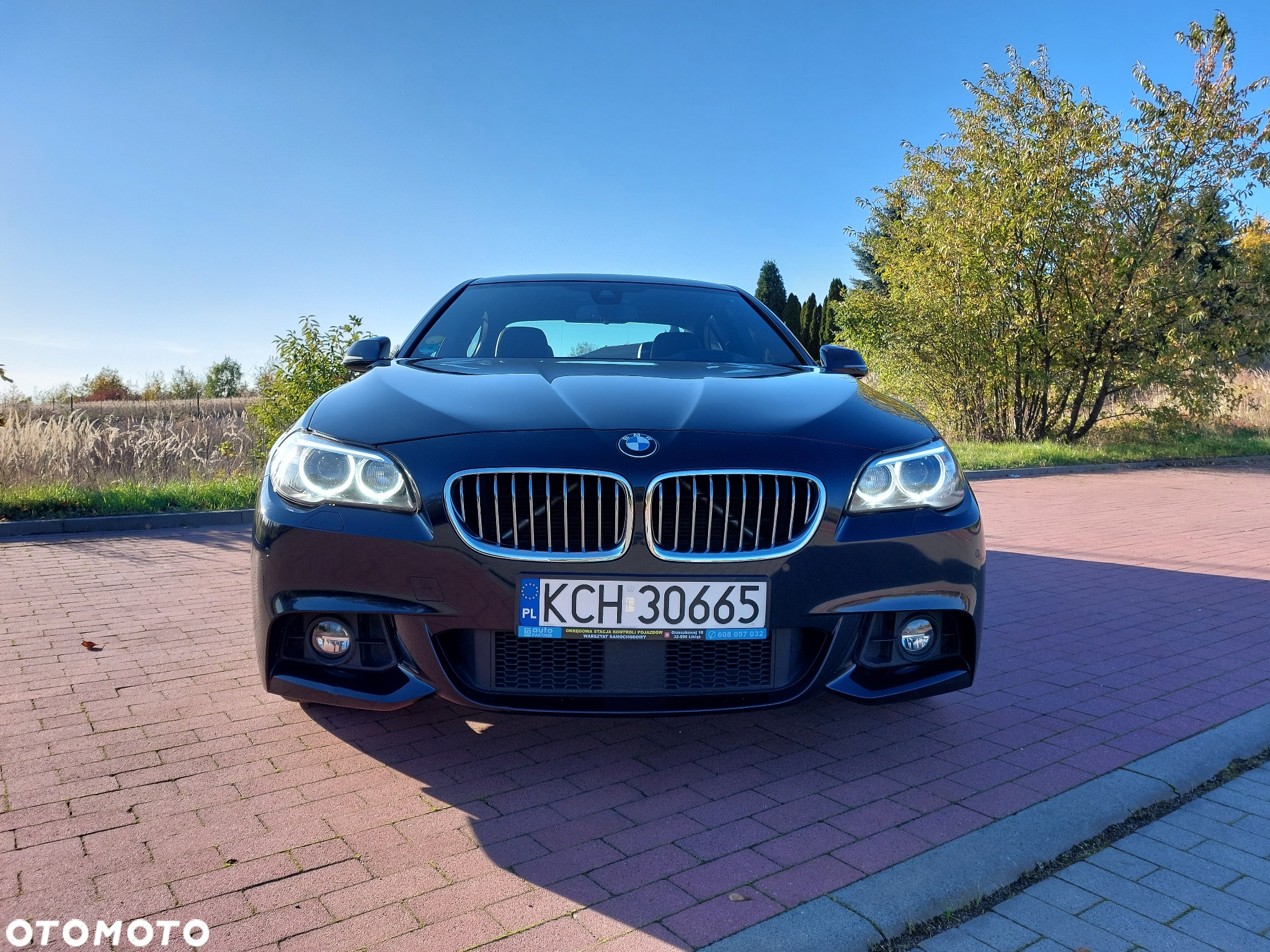 BMW Seria 5 520d M Sport - 11