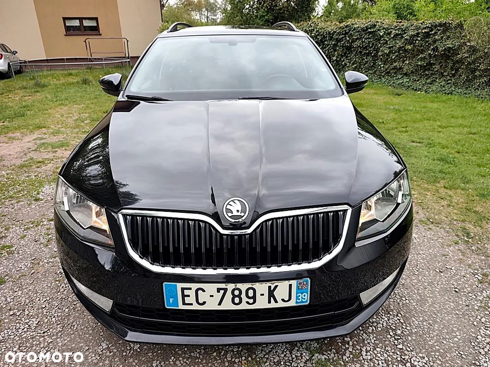Skoda Octavia 1.6 TDI Green tec 4x4 Edition - 3