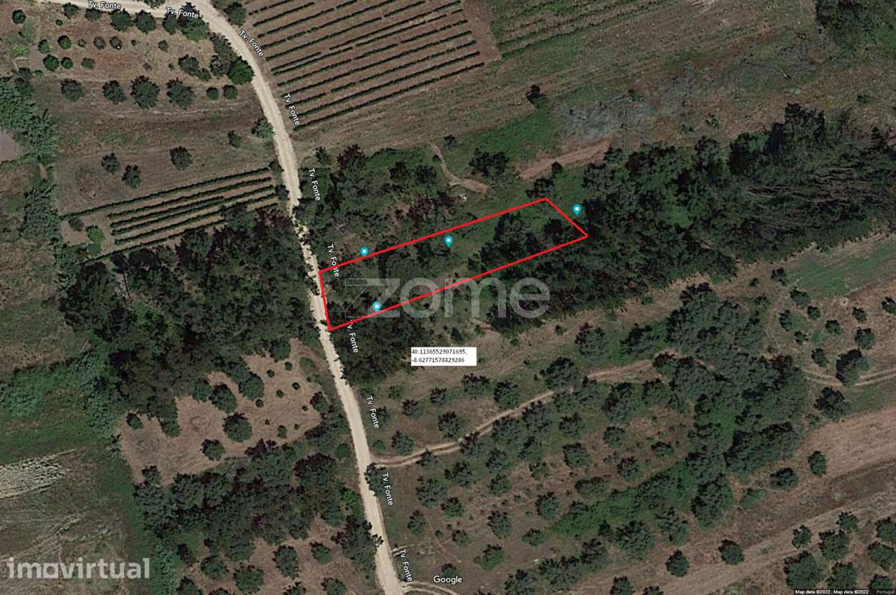 Terreno Rústico à Venda – Vila Nova de Anços 4.100m2 - Grande imagem: 3/11