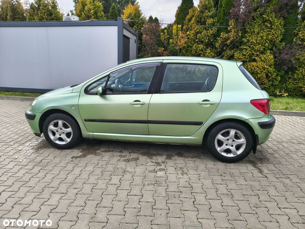 Peugeot 307 - 20