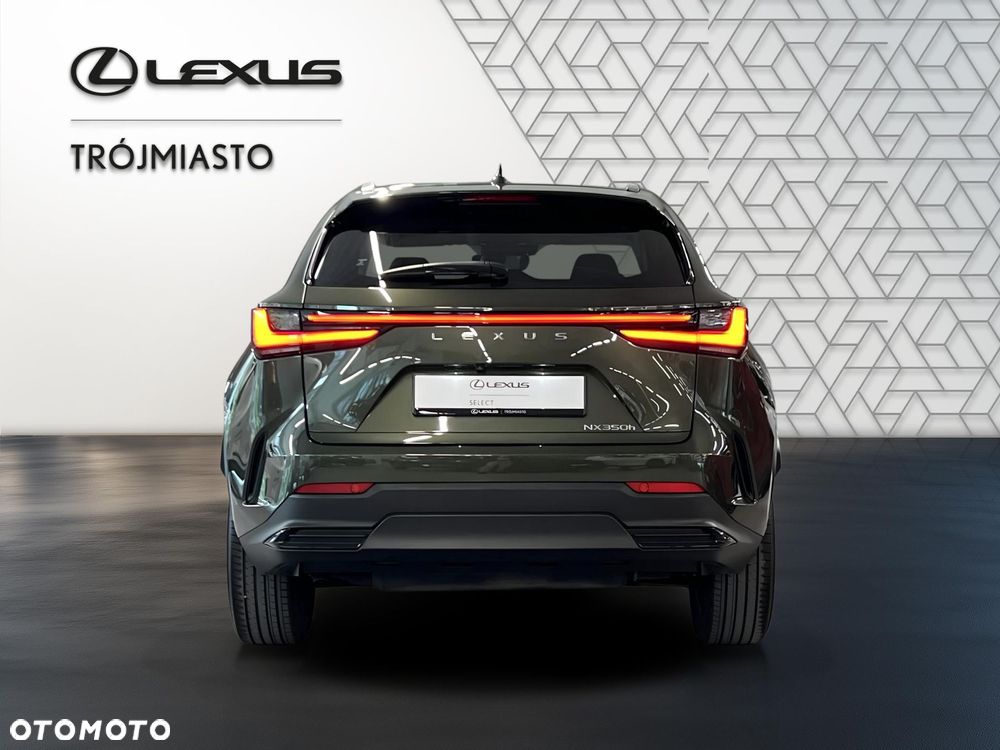 Lexus NX 350h Business AWD - 5