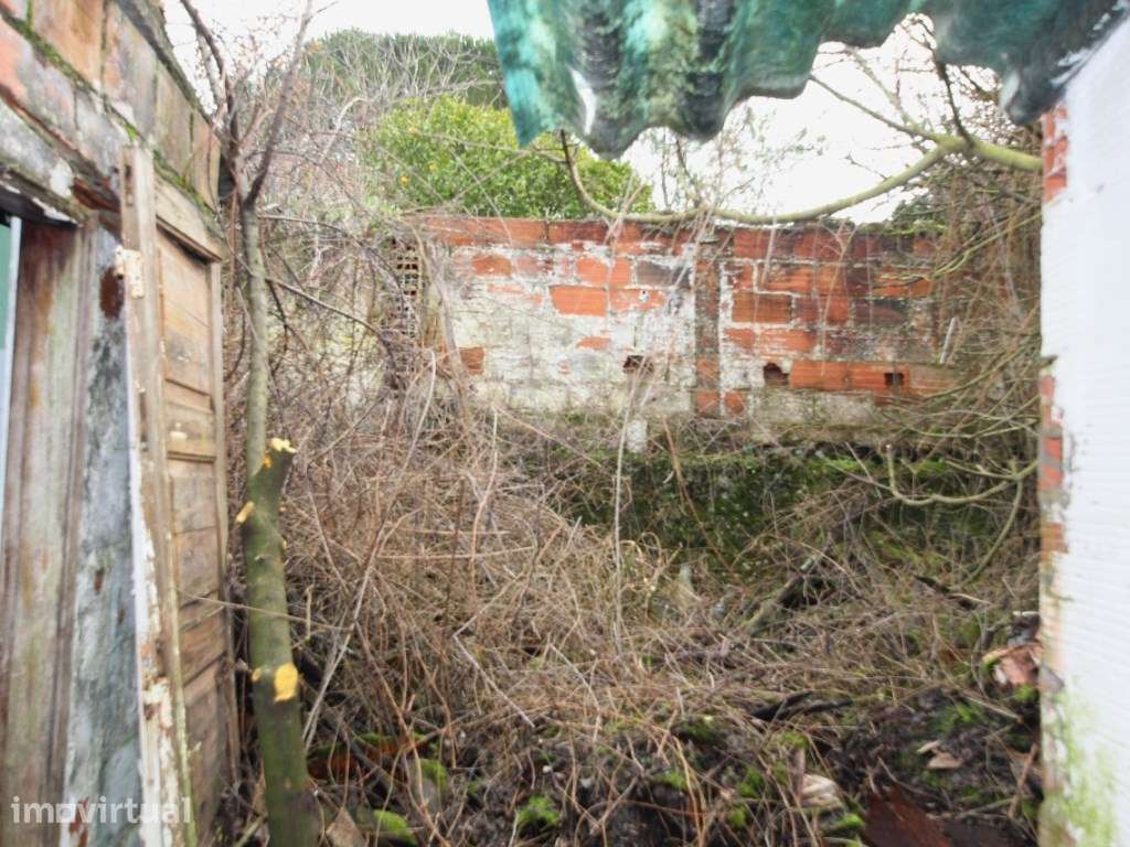 2 Casas de aldeia T2 + ruina + com terreno em Rio Maior - Grande imagem: 3/12