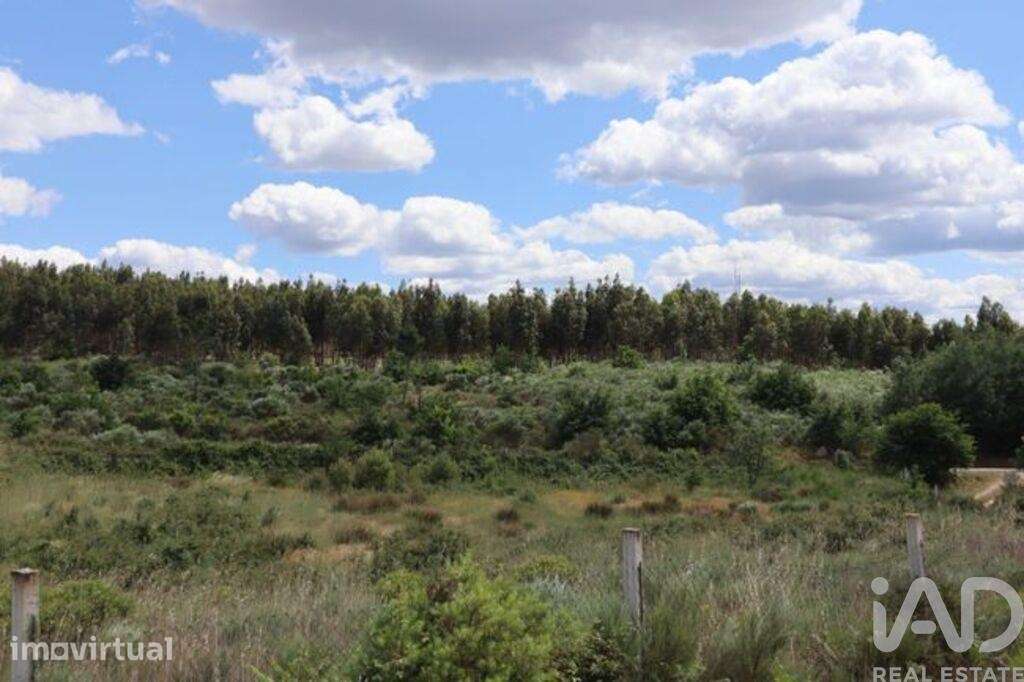 Terreno para construção em Seixo da Beira de 48000,00 m2 - Grande imagem: 4/26