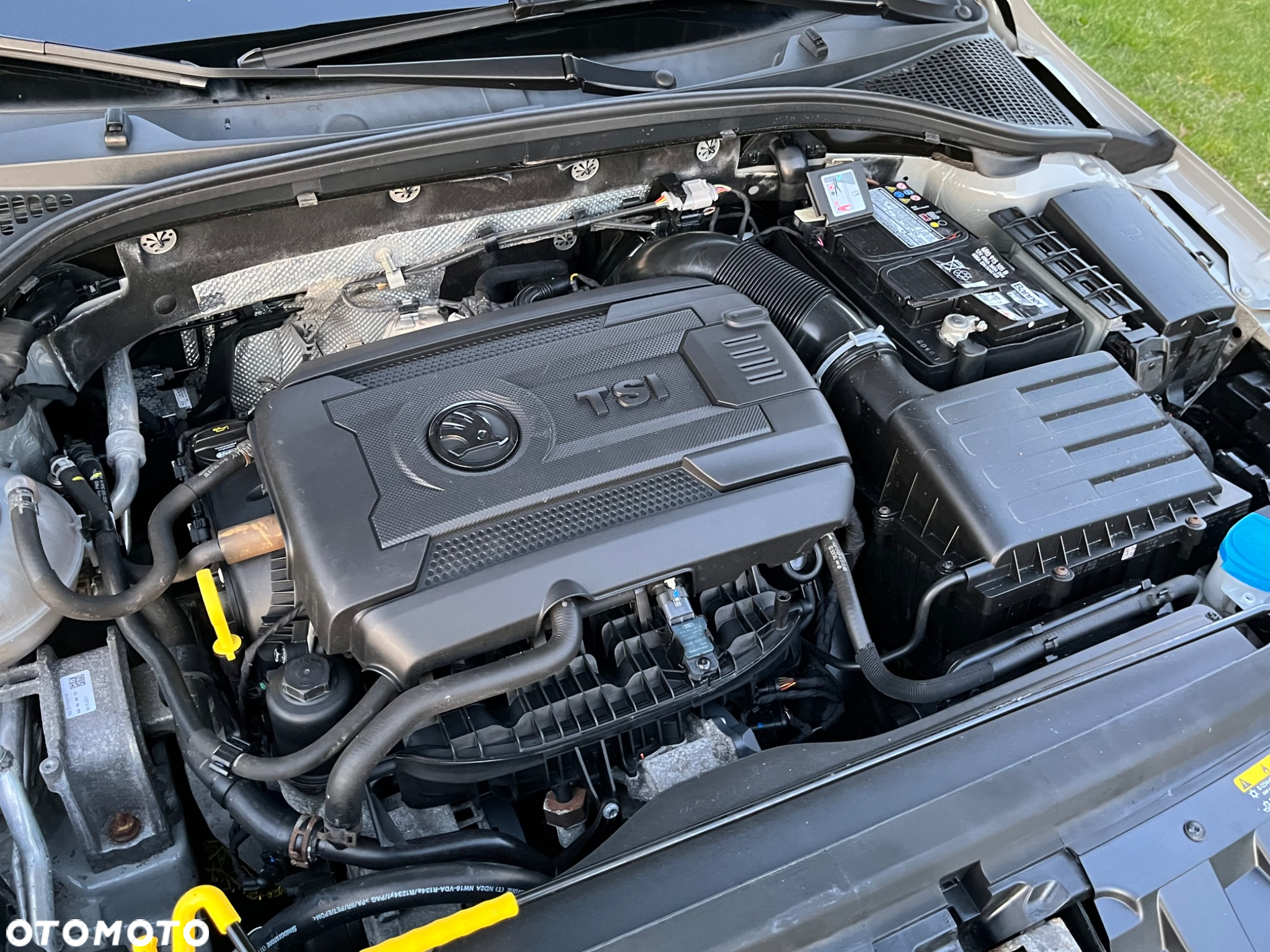 Skoda Octavia 2.0 TSI RS 230 - 20