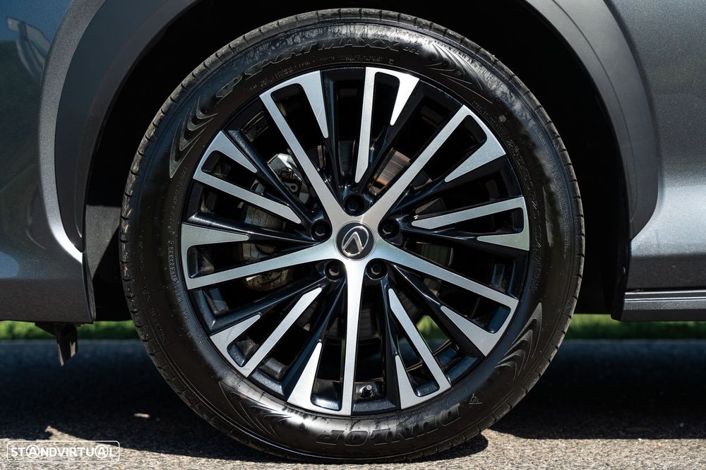 Lexus RZ 300e Premium - 31