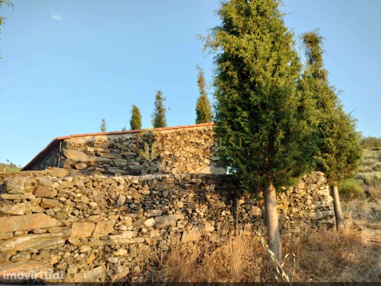 Terreno Agrícola para produção de Vinho - Grande imagem: 4/20